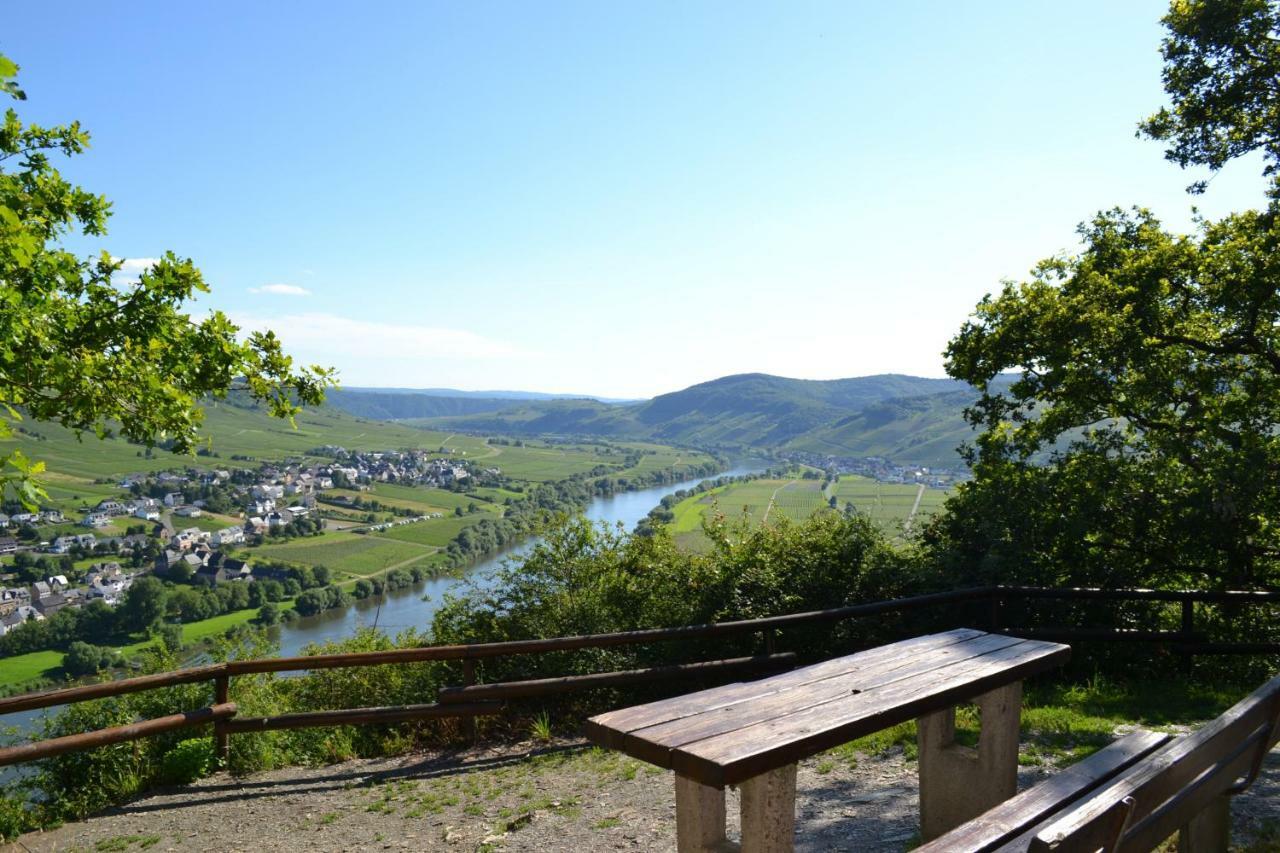 Weingut Mathy-Schanz Osann-Monzel Exterior foto